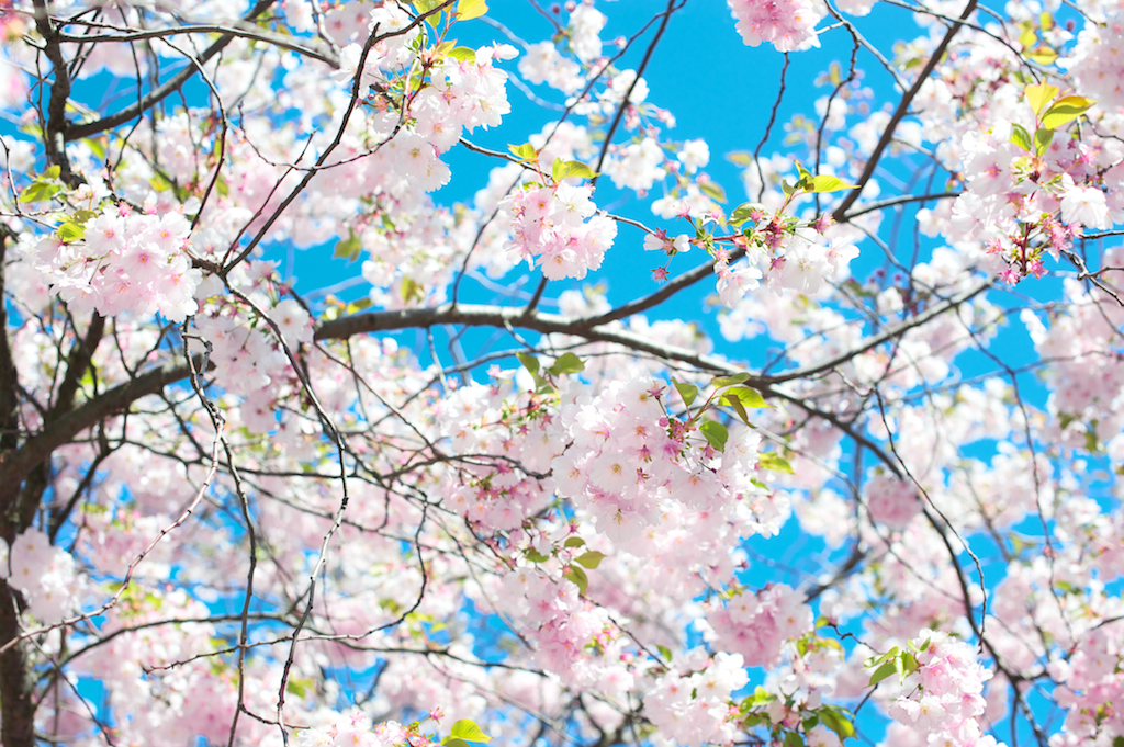 År 2011- En sammanfattning