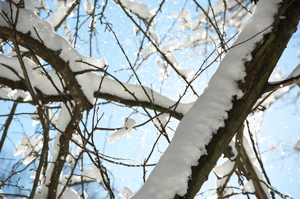God fortsättning & Gott Nytt År