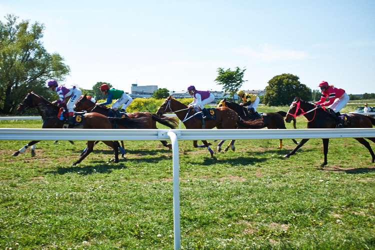 Nationaldagsgaloppen