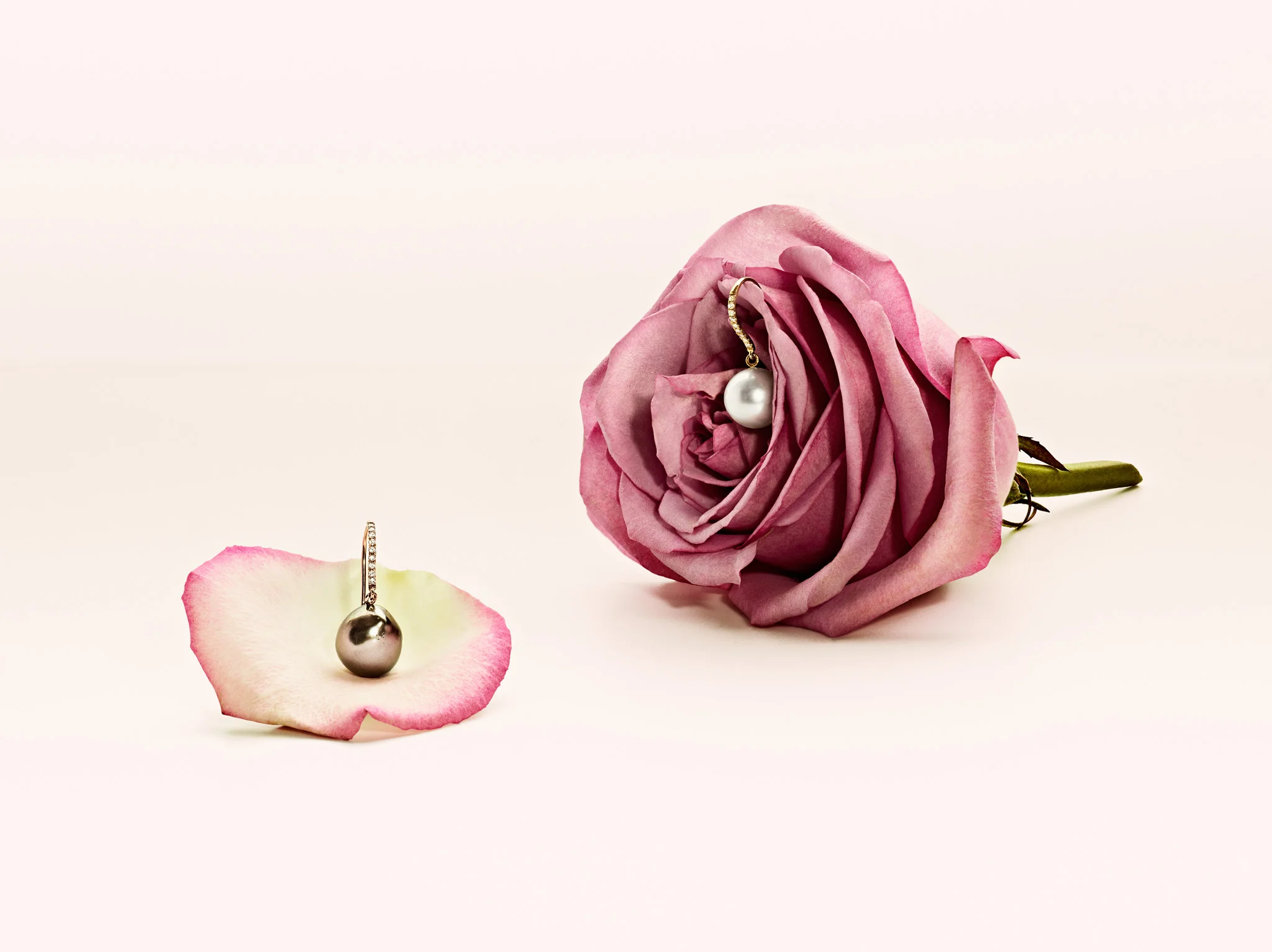 Ebba_Brahe_Pearl_Rose_web.jpg