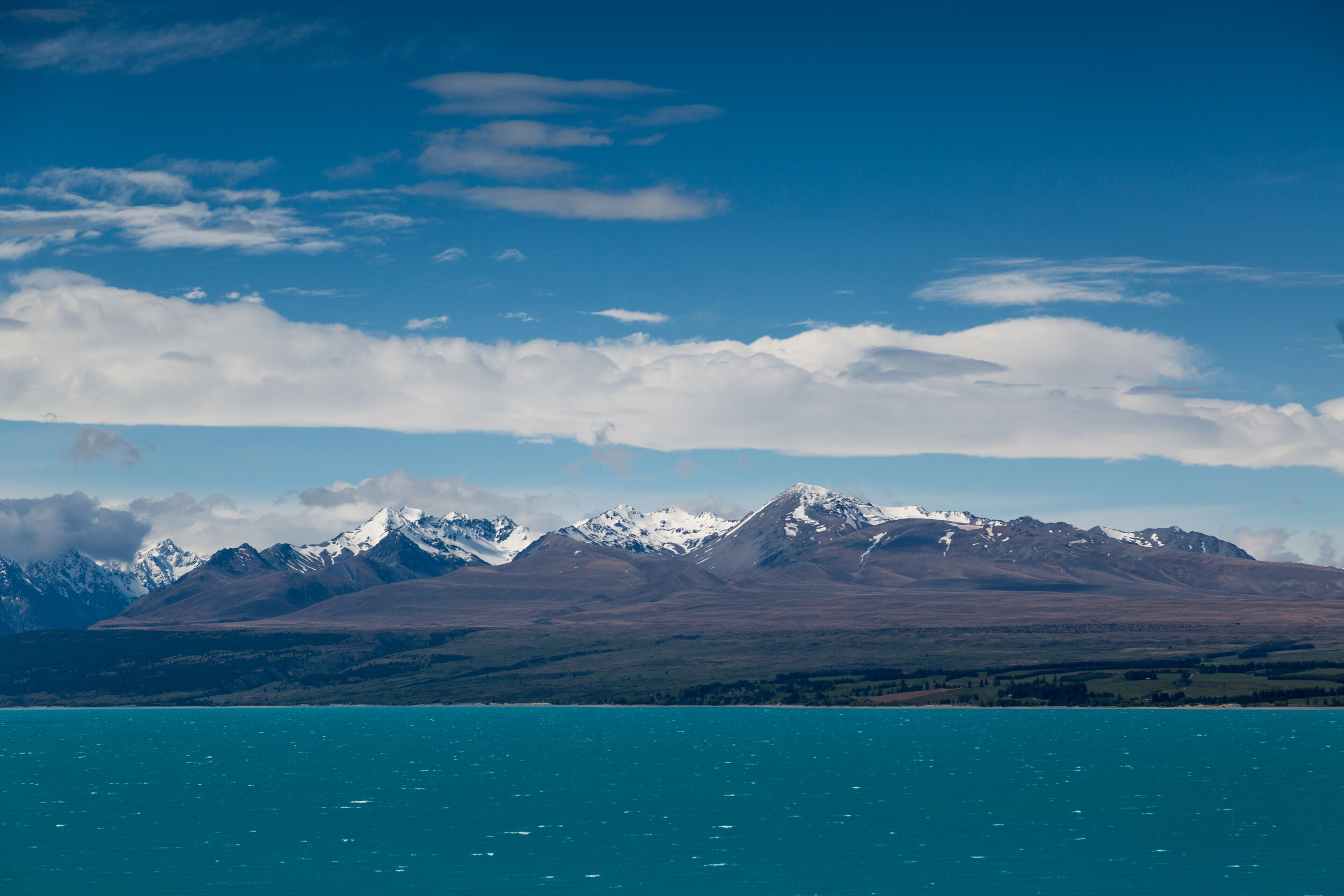 GM_NZ2016-103.jpg