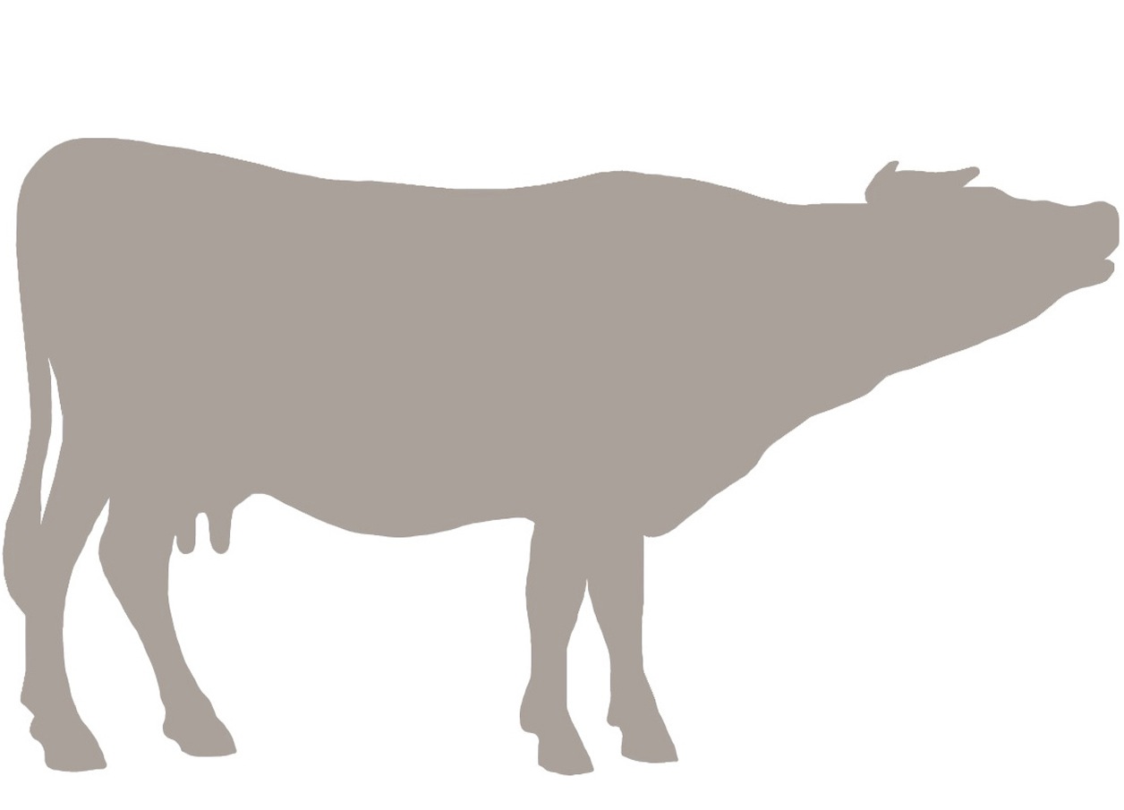 Cow Emblem.jpg