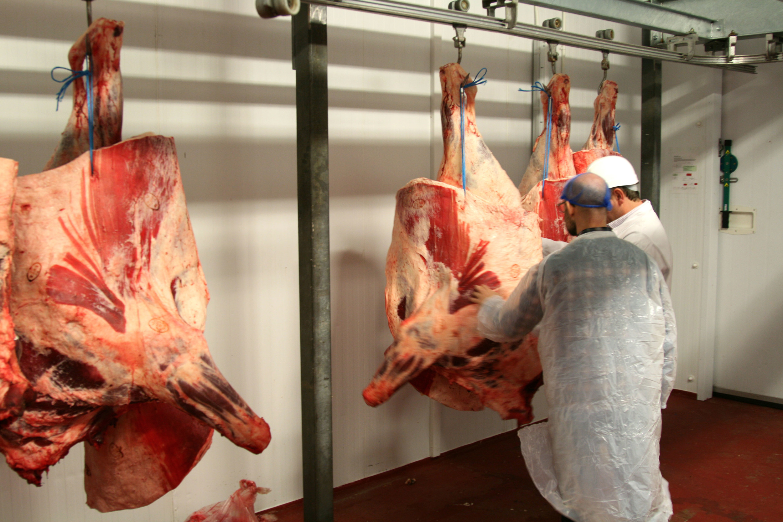 James detailing the provenance of each beef side, as well as how they'll go about breaking it down into individual cuts.