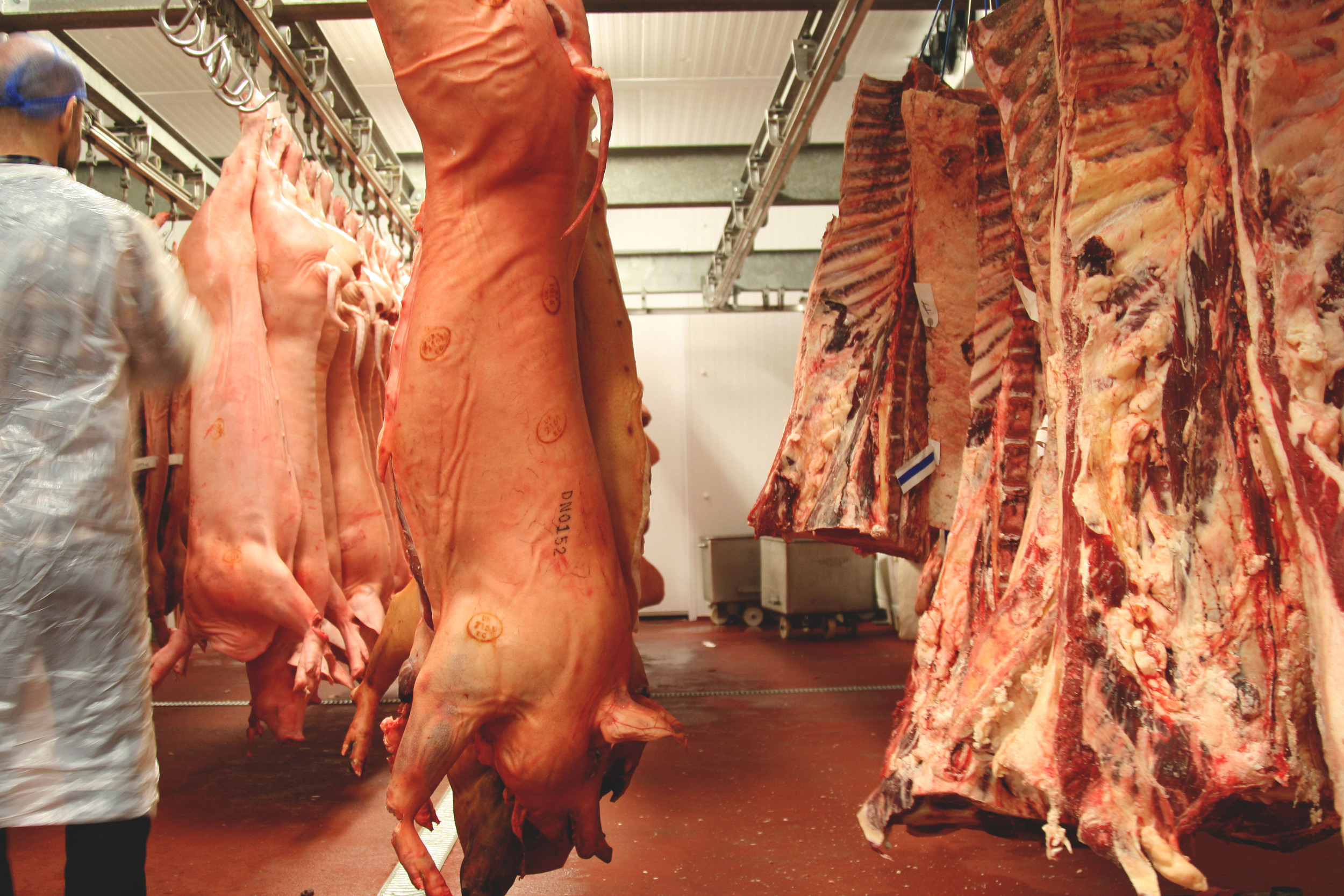 Alessandro amongst the beef & pork.