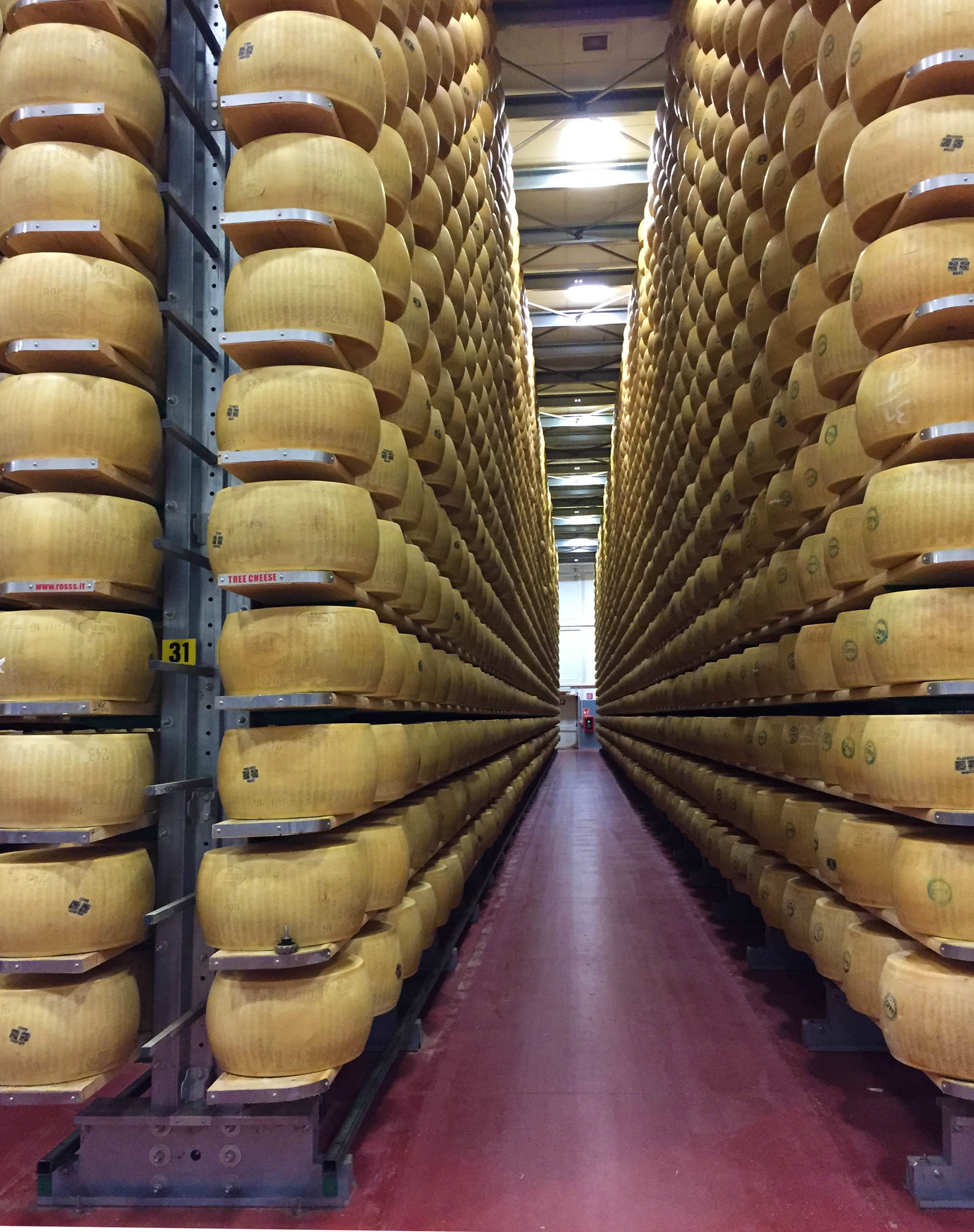 Inside the maturing facility. Photo: Patricia Michelson