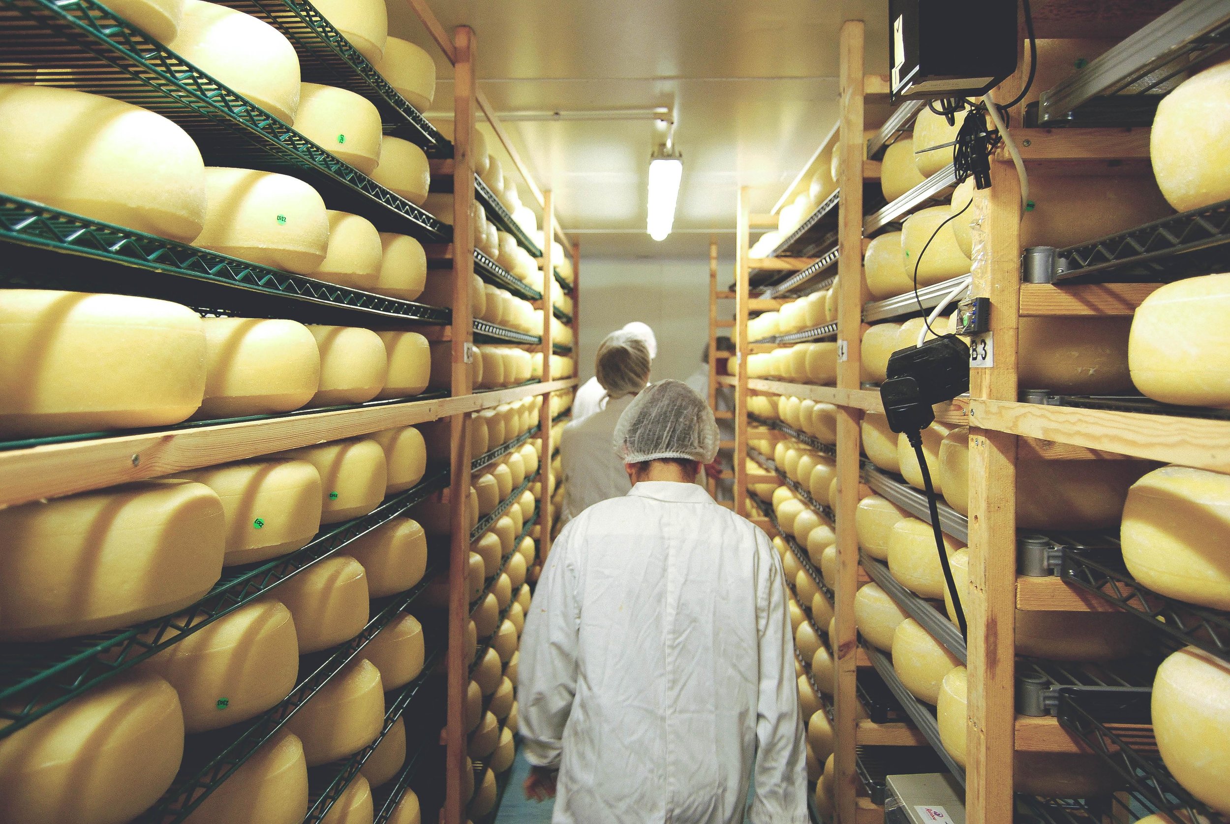 Strolling Through Cellars.jpg
