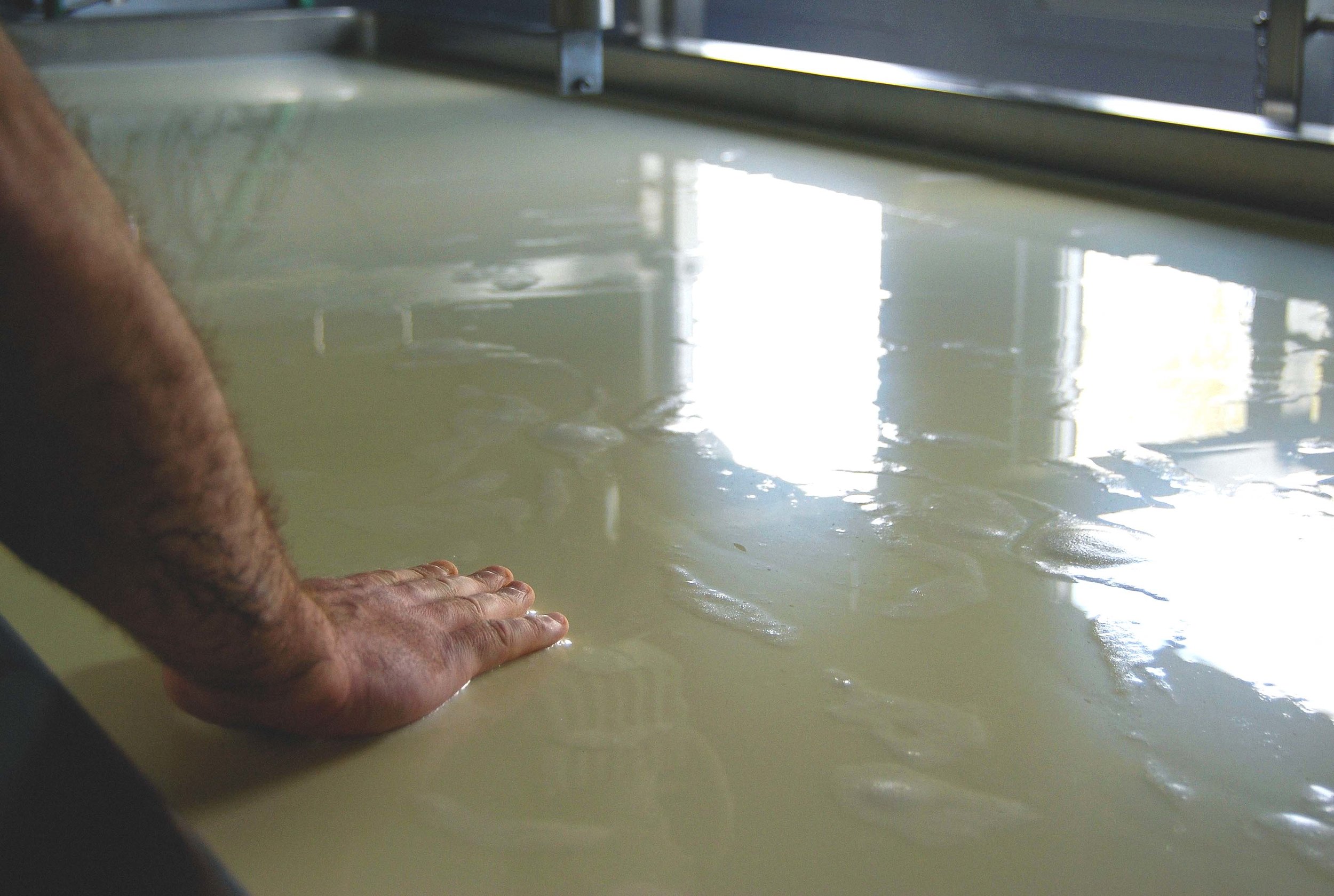 David laying a hand on the curd