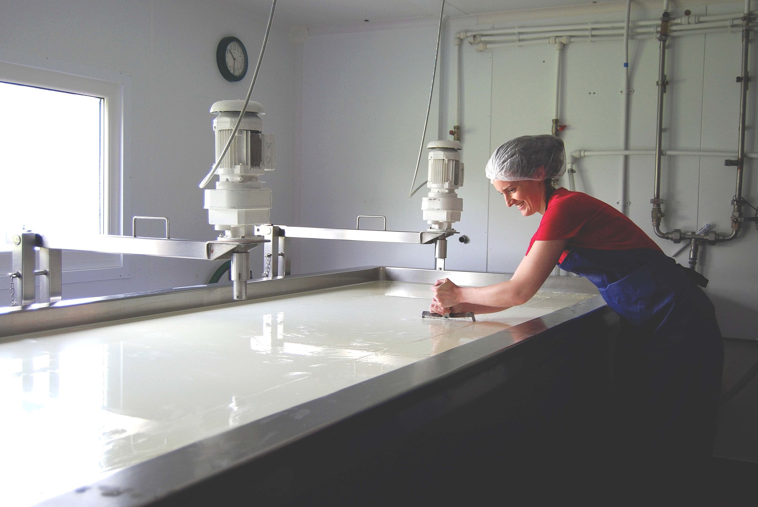 Lucy cutting curds