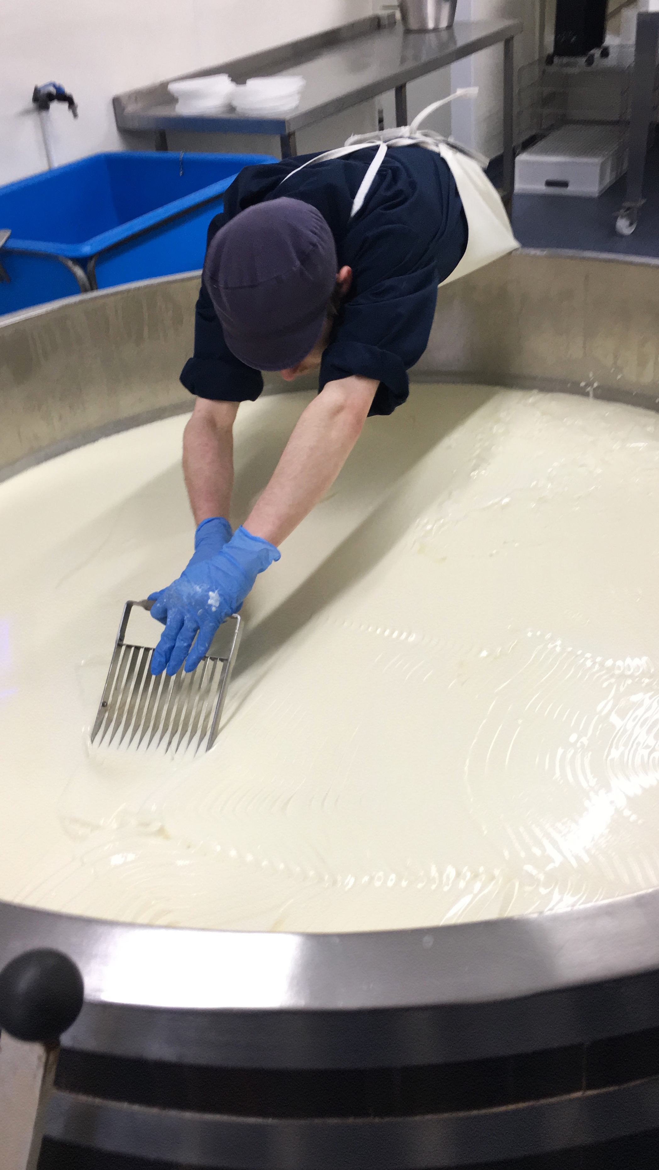 Cutting the curd