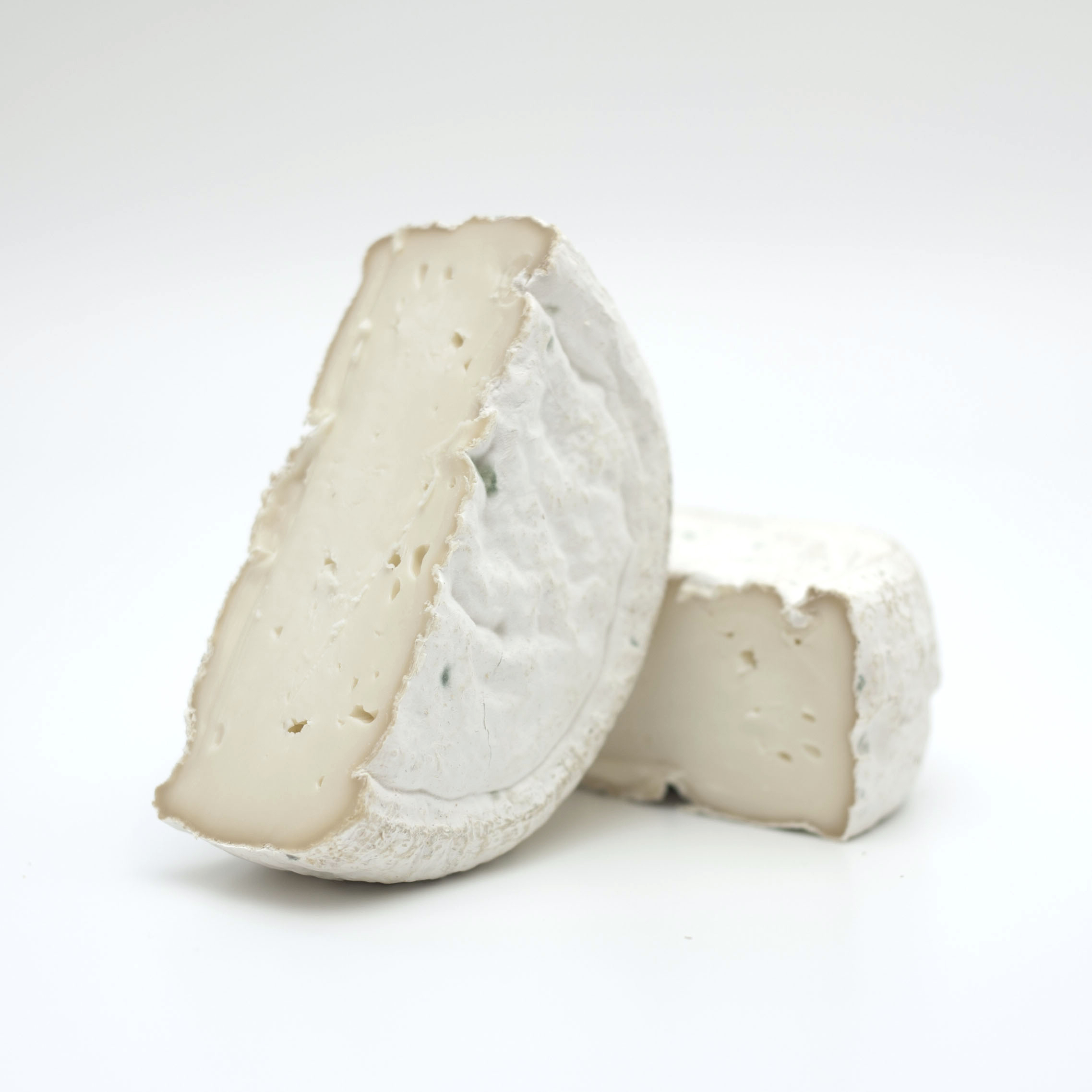 Italy Goat Capraricca.jpg