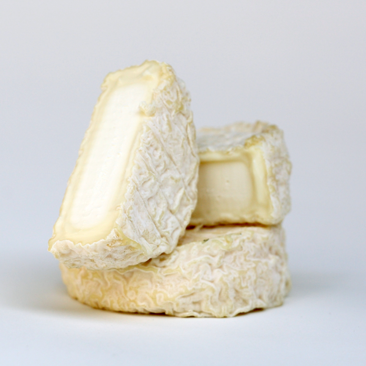 France Goat Pelardon.jpg