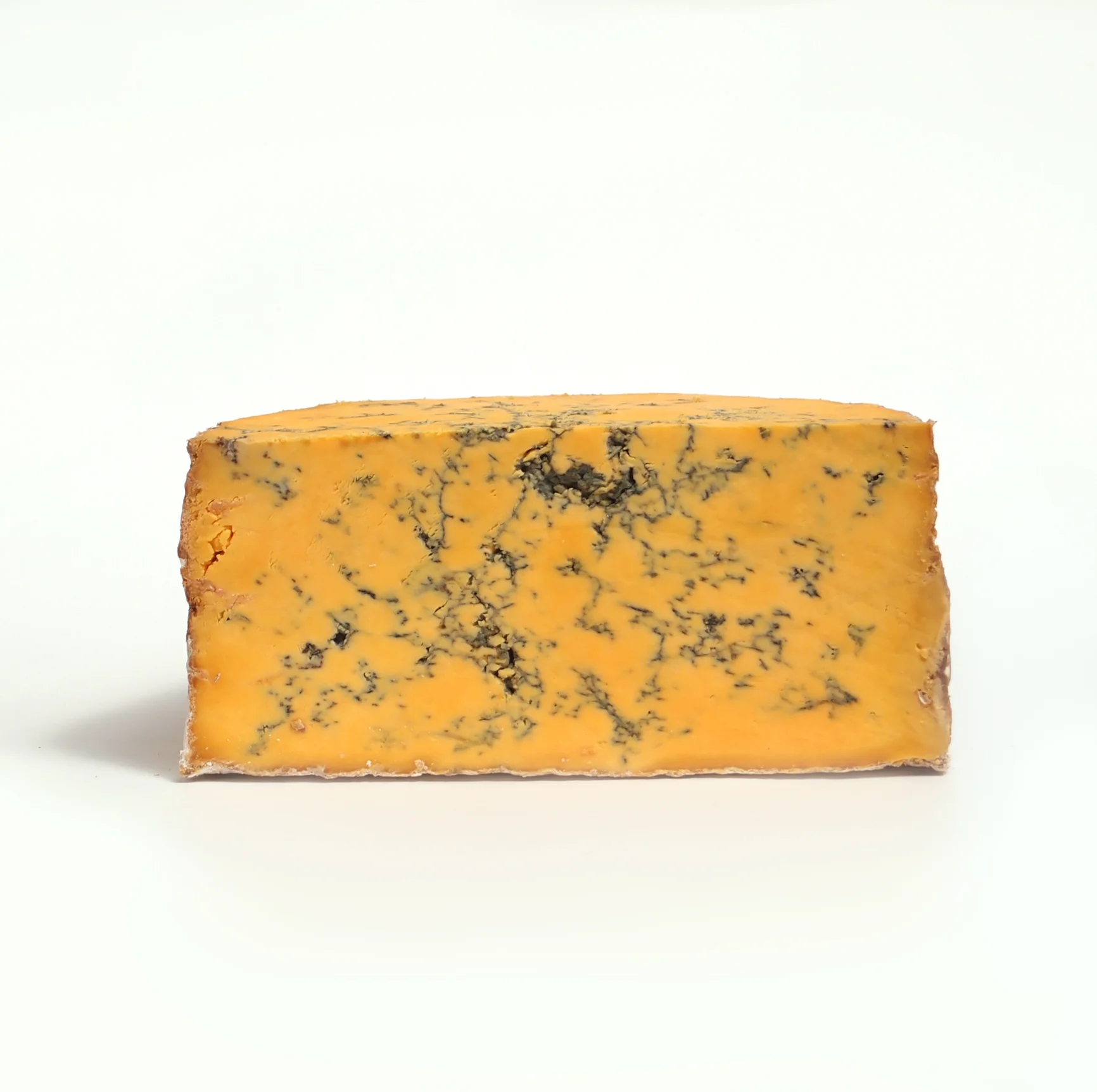 Britain Cow Shropshire Blue.jpg