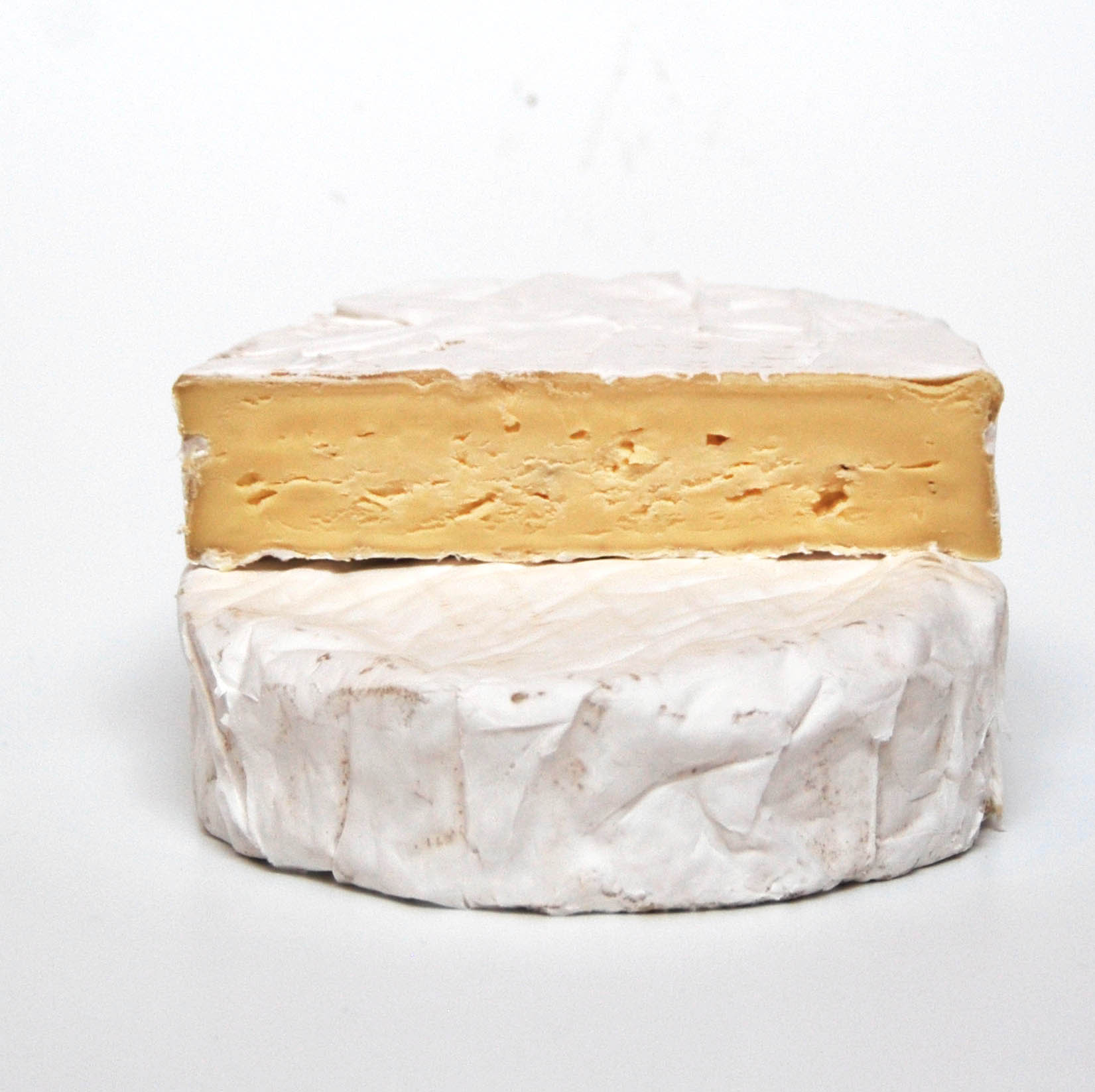 Britain Cow Clava WEB.jpg