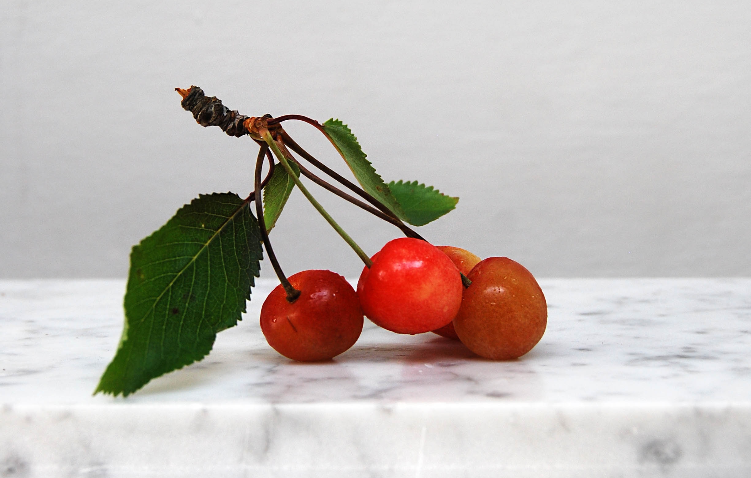 brogdale cherries web.jpg