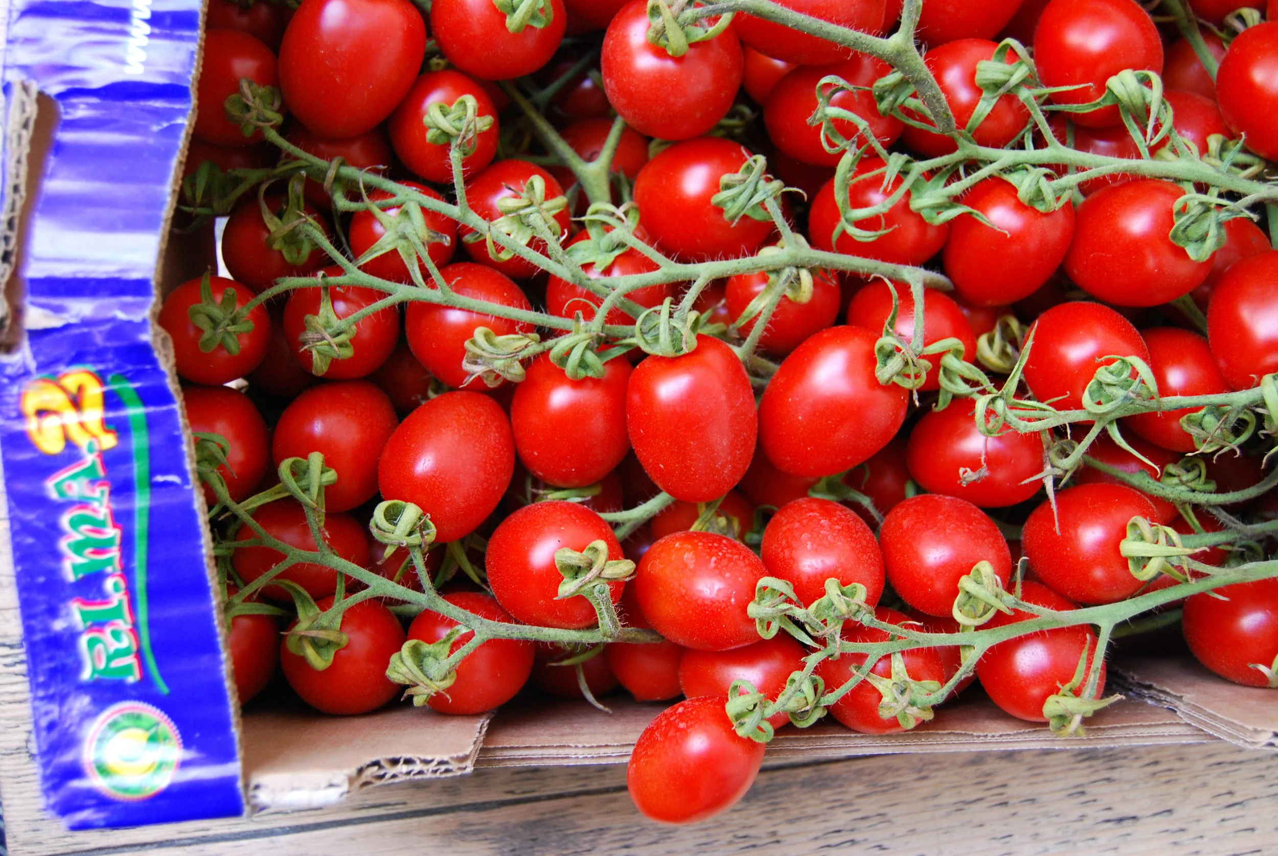 tomatoes - piccadilly web.jpg