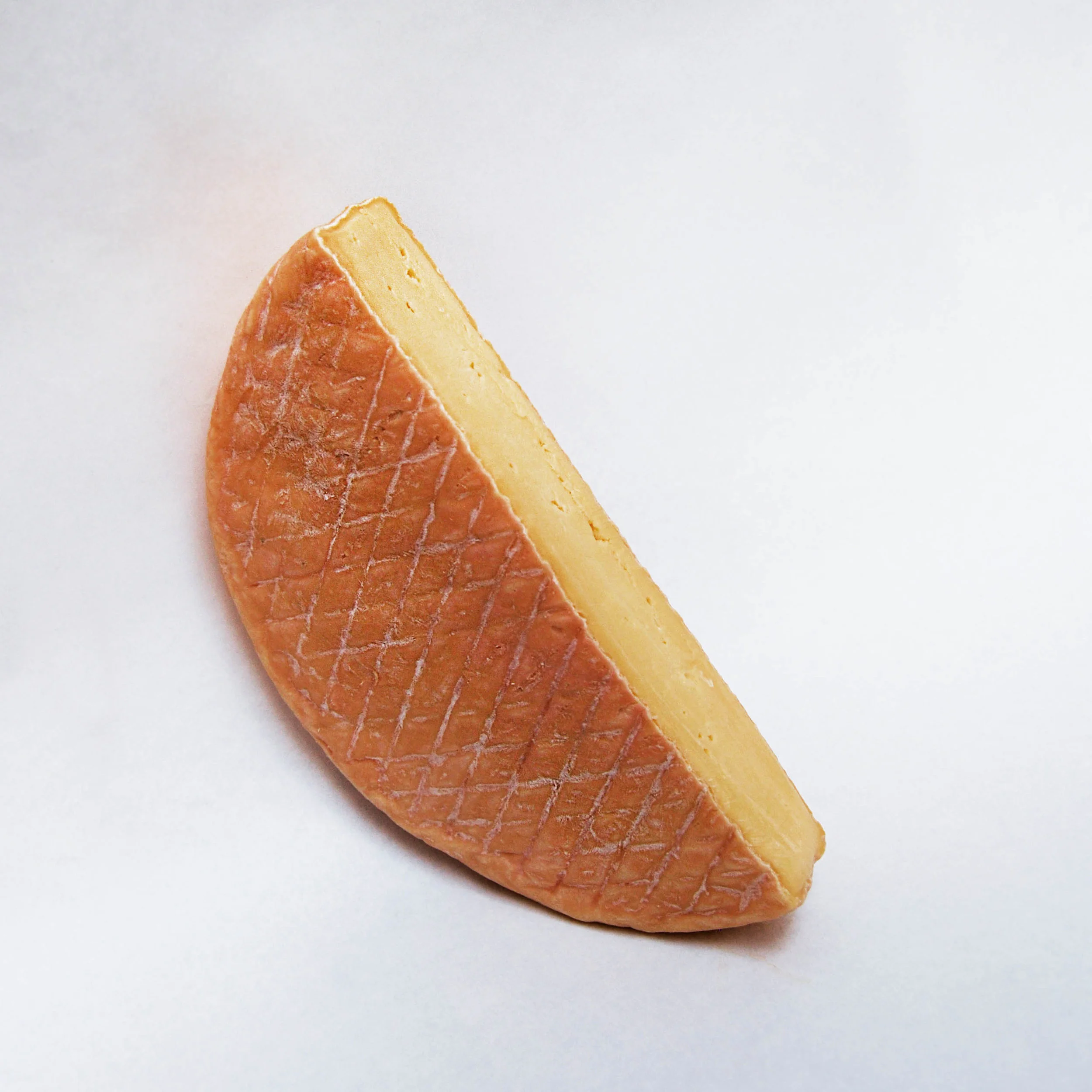 Britain Cow Washed Baronet web 2.jpg