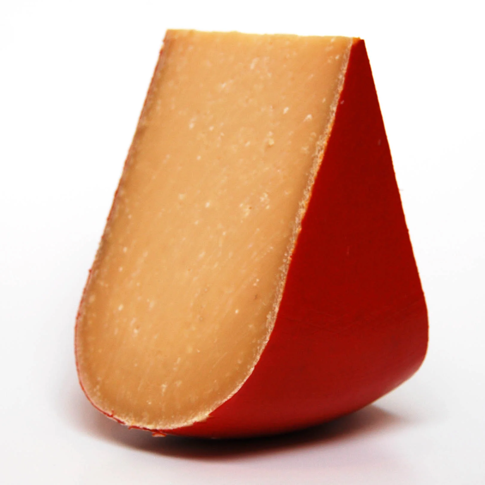 Belgium Cow Old Groendal WEB.jpg
