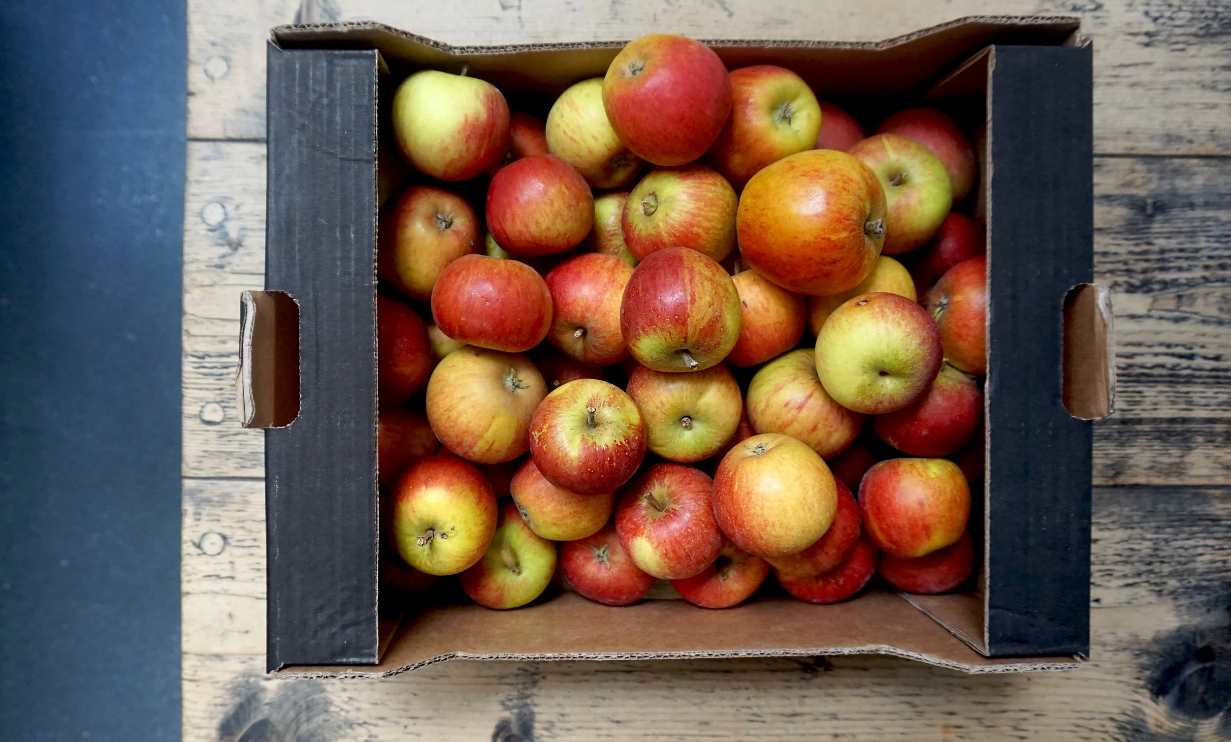 apples brogdale coxs orange pippin web.jpg