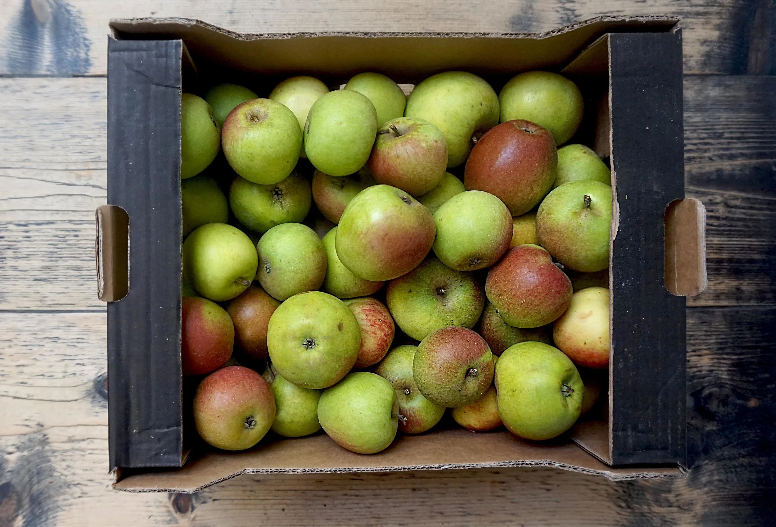 apples brogdale laxtons superb web.jpg