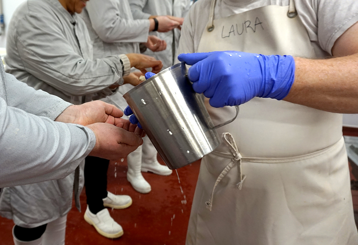 Tasting the curds - incredibly sweet and creamy, silky smooth