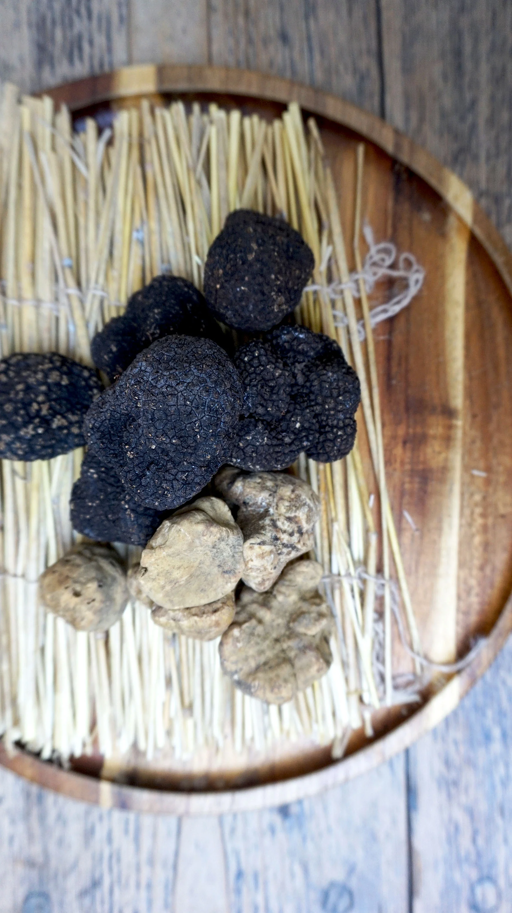 truffle web.jpg