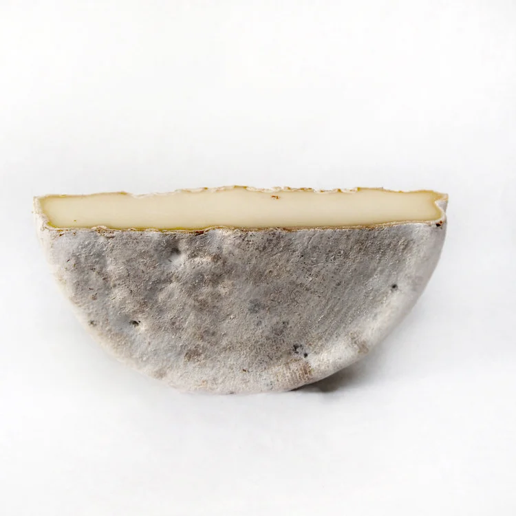 France Ewe Tomme dEstaing.jpg