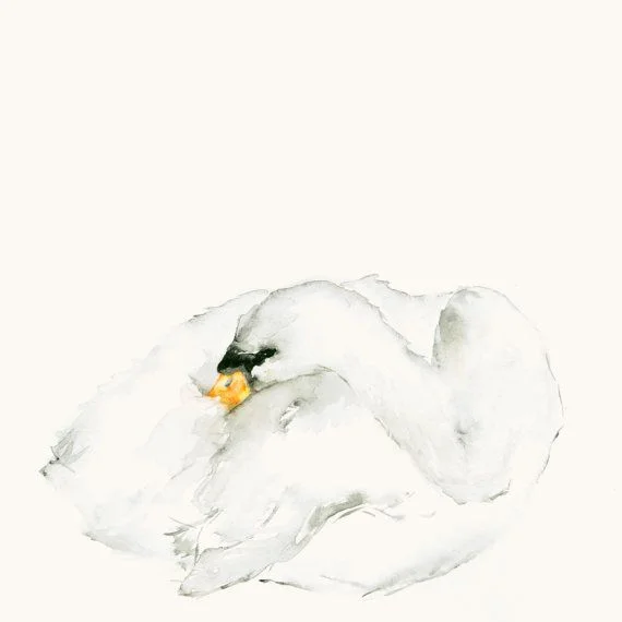 Illustration: dearcatherina / etsy