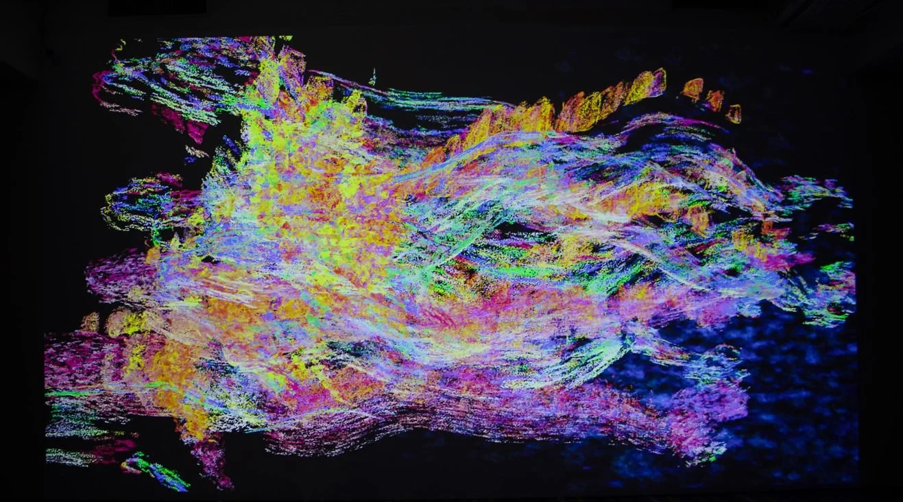 K-COSMOSIS par Bomi Yook