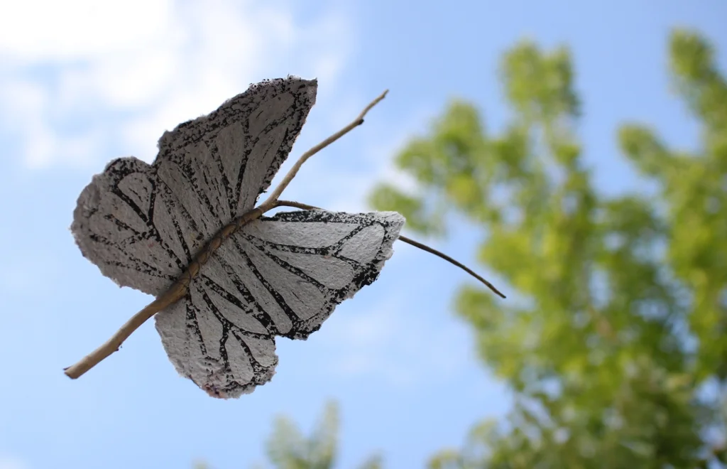 04 Emergence detail 2.JPG