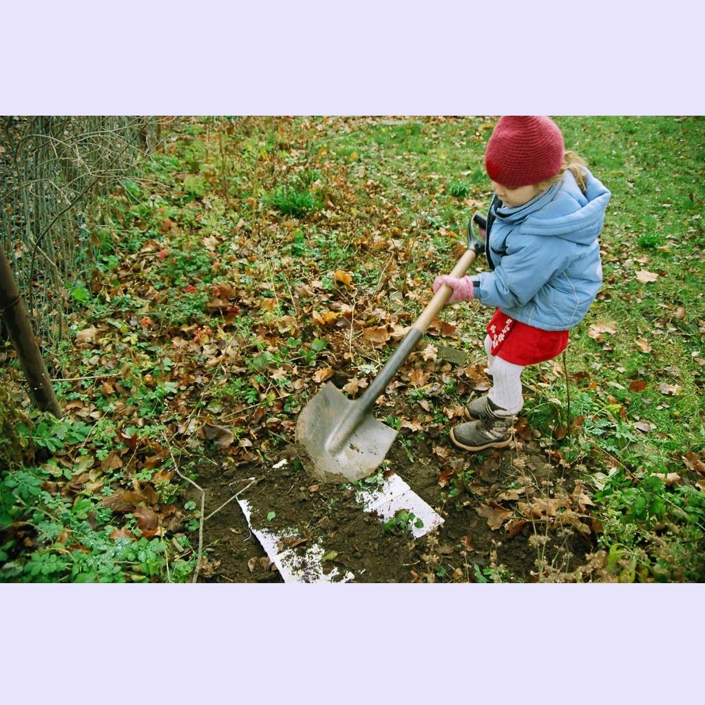 08 planting.jpg