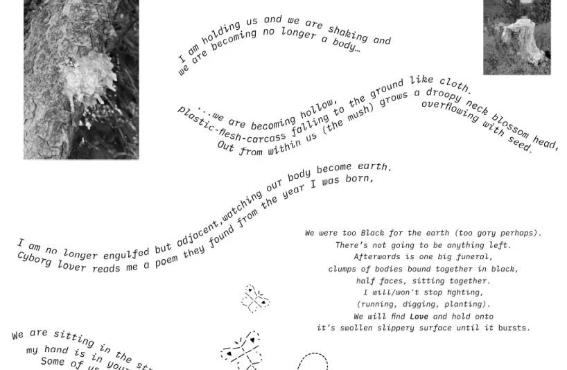 Capture - poetry.JPG