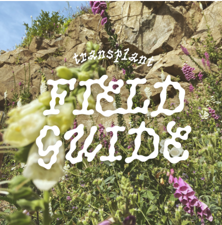 Screenshot 2026-04-14 190740.png