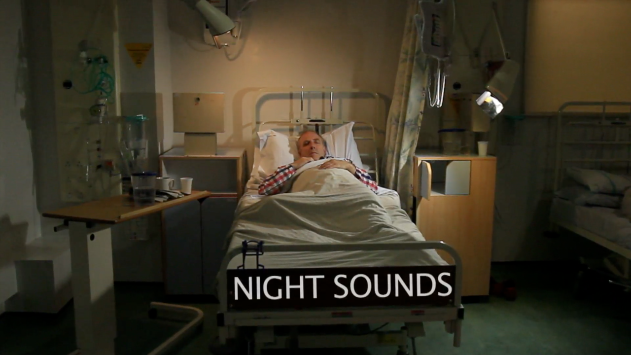 Night Sounds photo.png