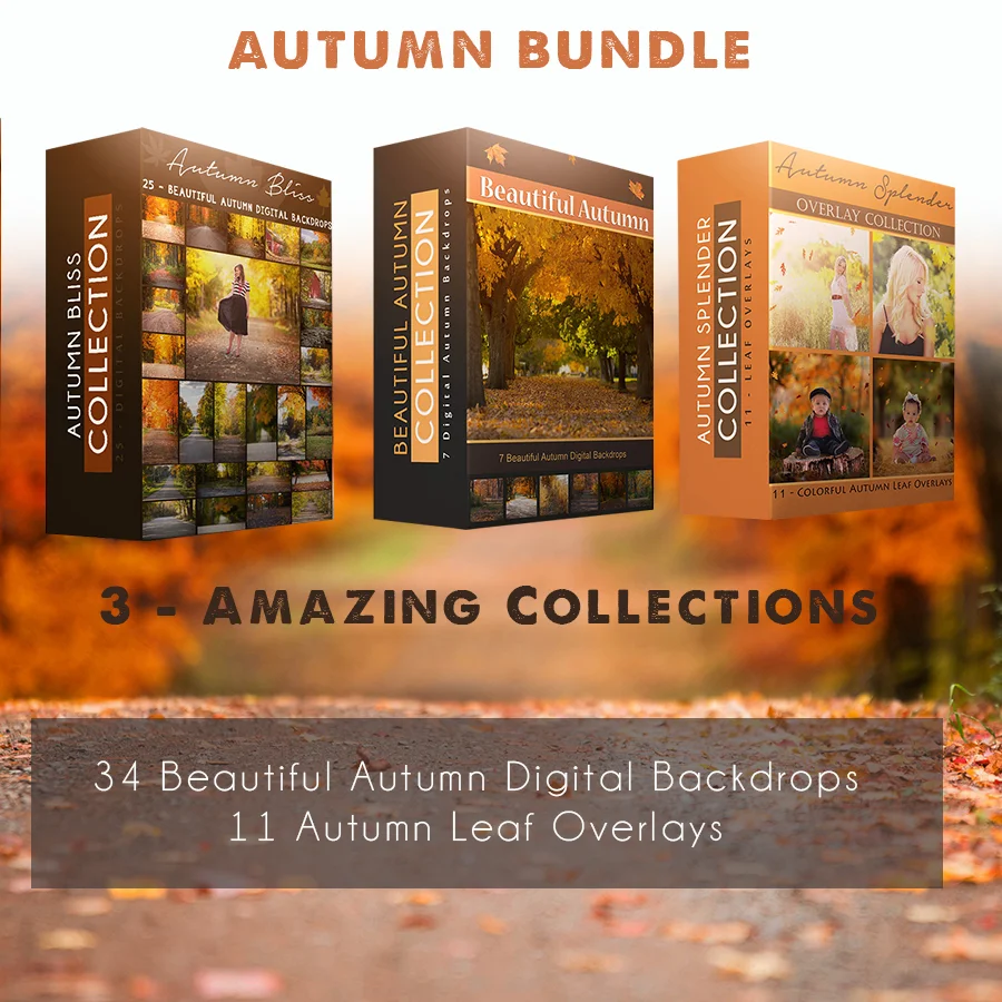 autumn bundle preview.jpg