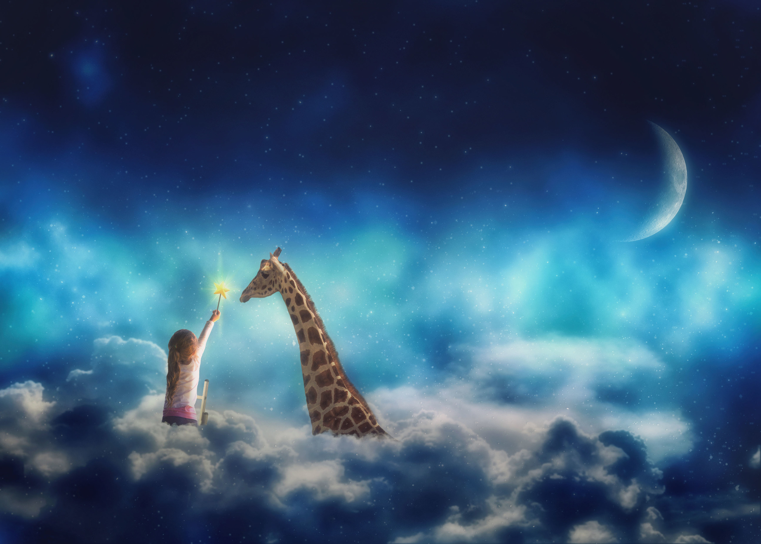 Whimsical Night Overlays & Giraffe Png Collection