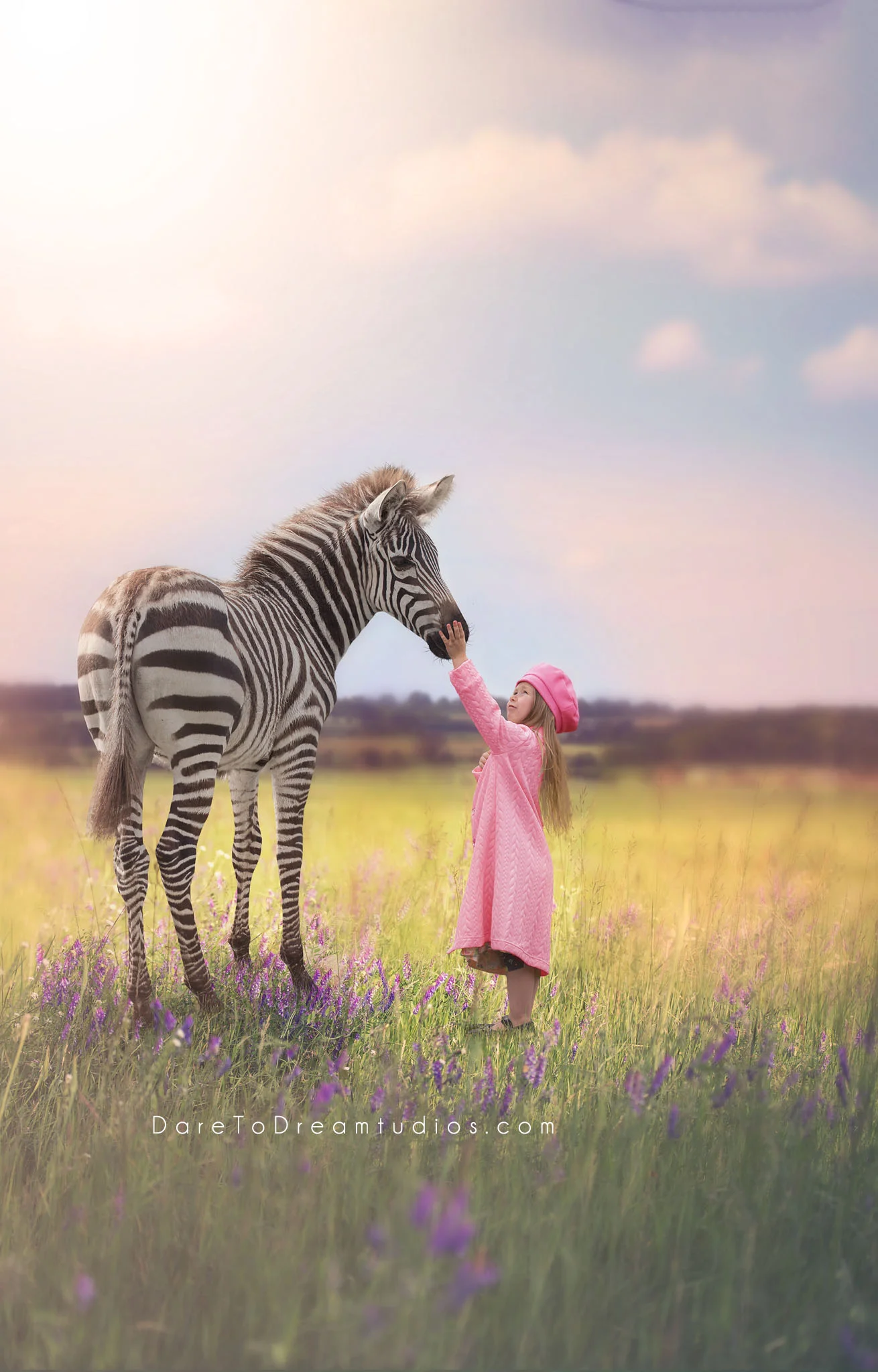 zebra preview 1.jpg