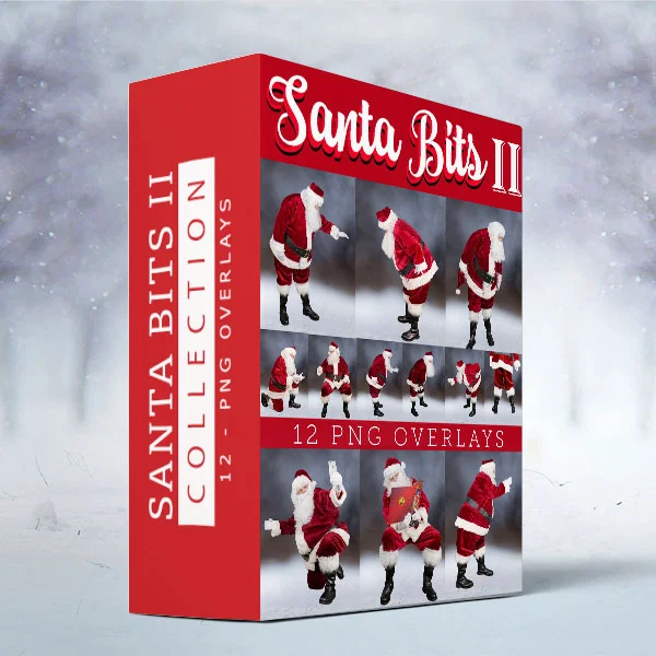 Santa Bits II - Box.jpg