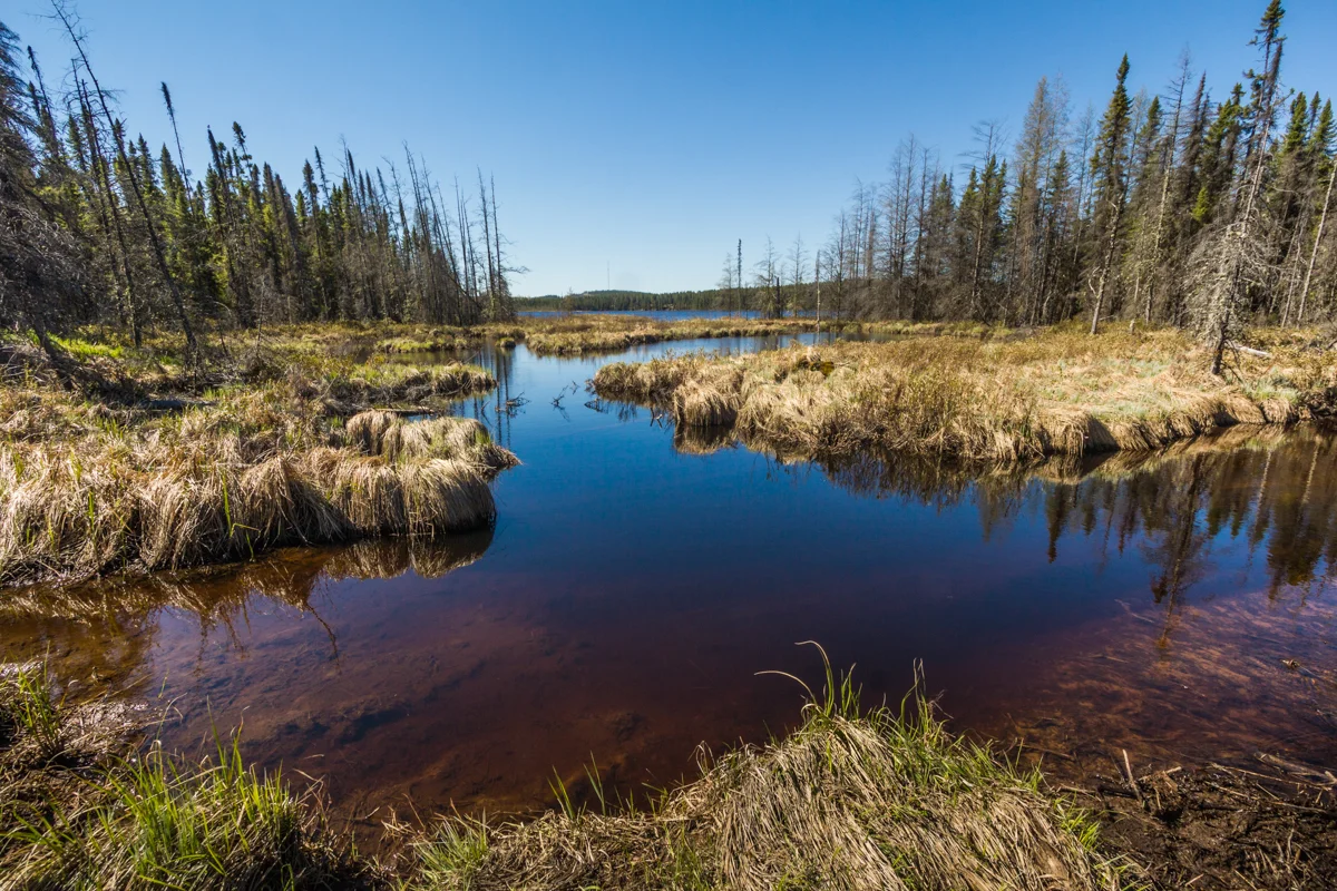 ClarisaMendozaPhoto-Waskaganish-1.jpg