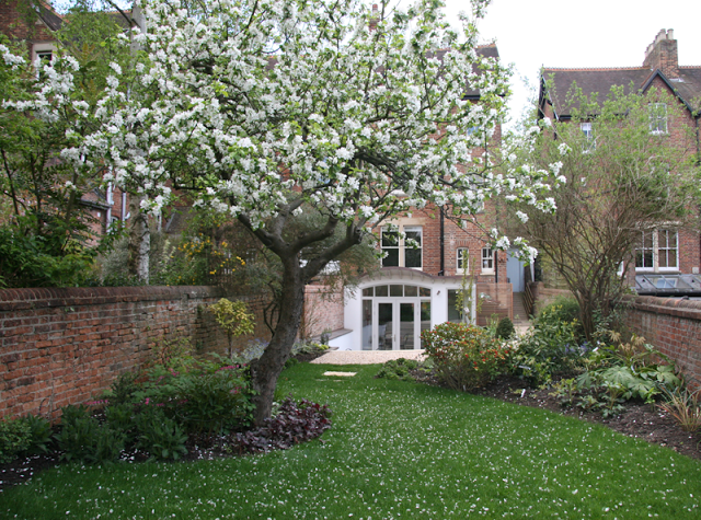 rogue-designs.garden3.png