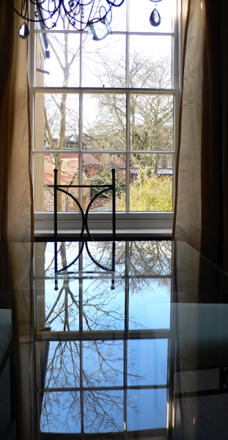 window-reflection-rogue-designs.png