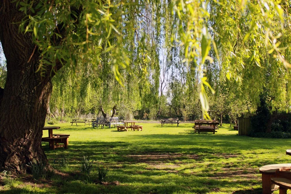 oxford-pub-garden03.jpg