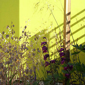 rogue_designs_oxford_garden_design-copy.jpg