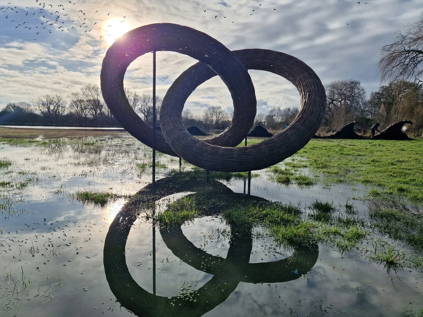 Connected by Willow Coppice 13.jpg