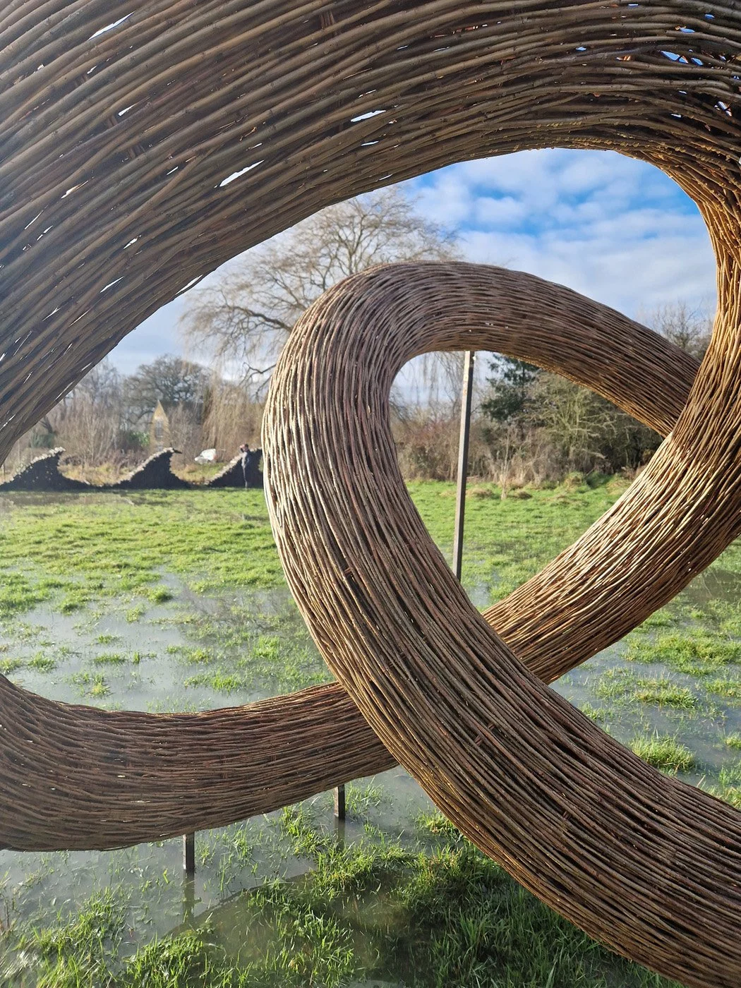 Connected by Willow Coppice 9.jpg