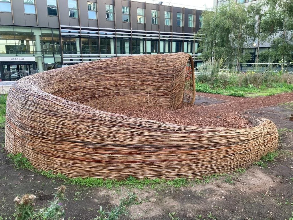 willow space 1.jpeg