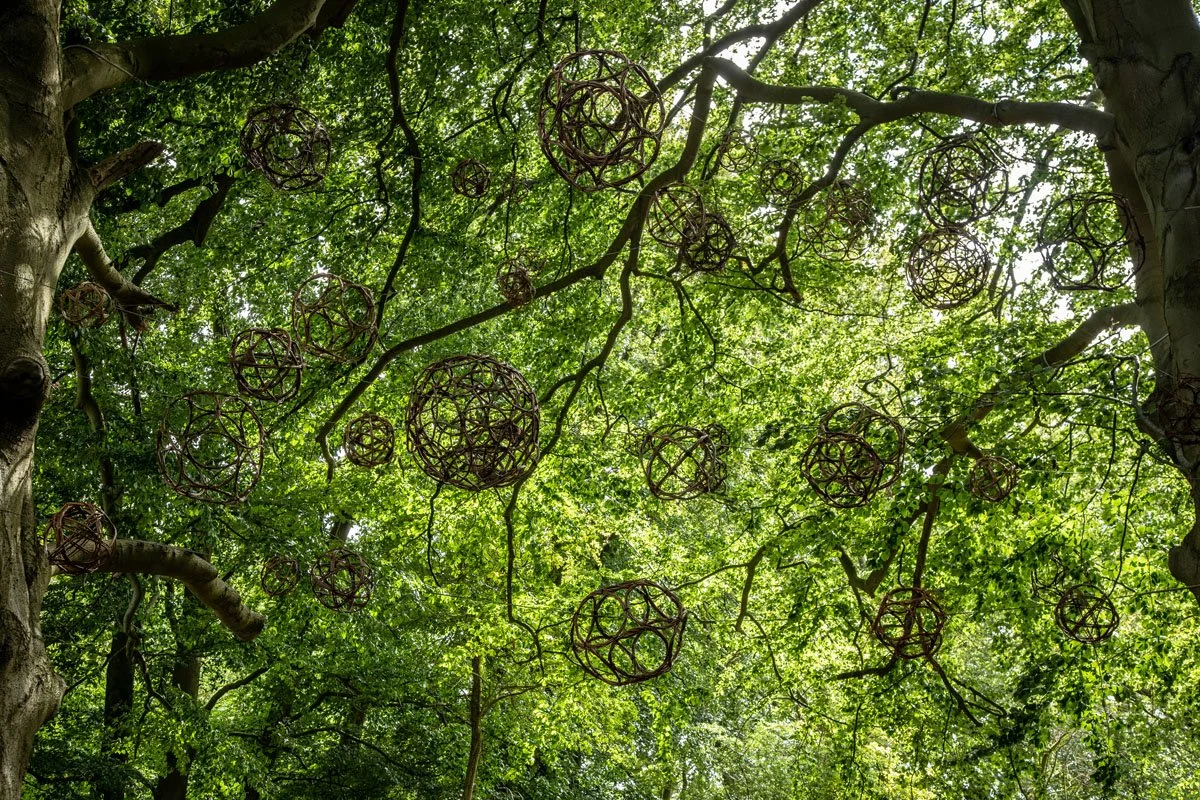 exhibition in wytham woods willow spheres 17.jpg