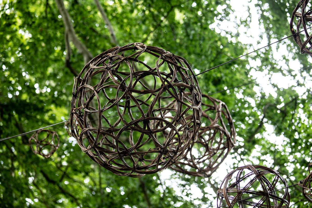 exhibition in wytham woods willow spheres 5.jpg