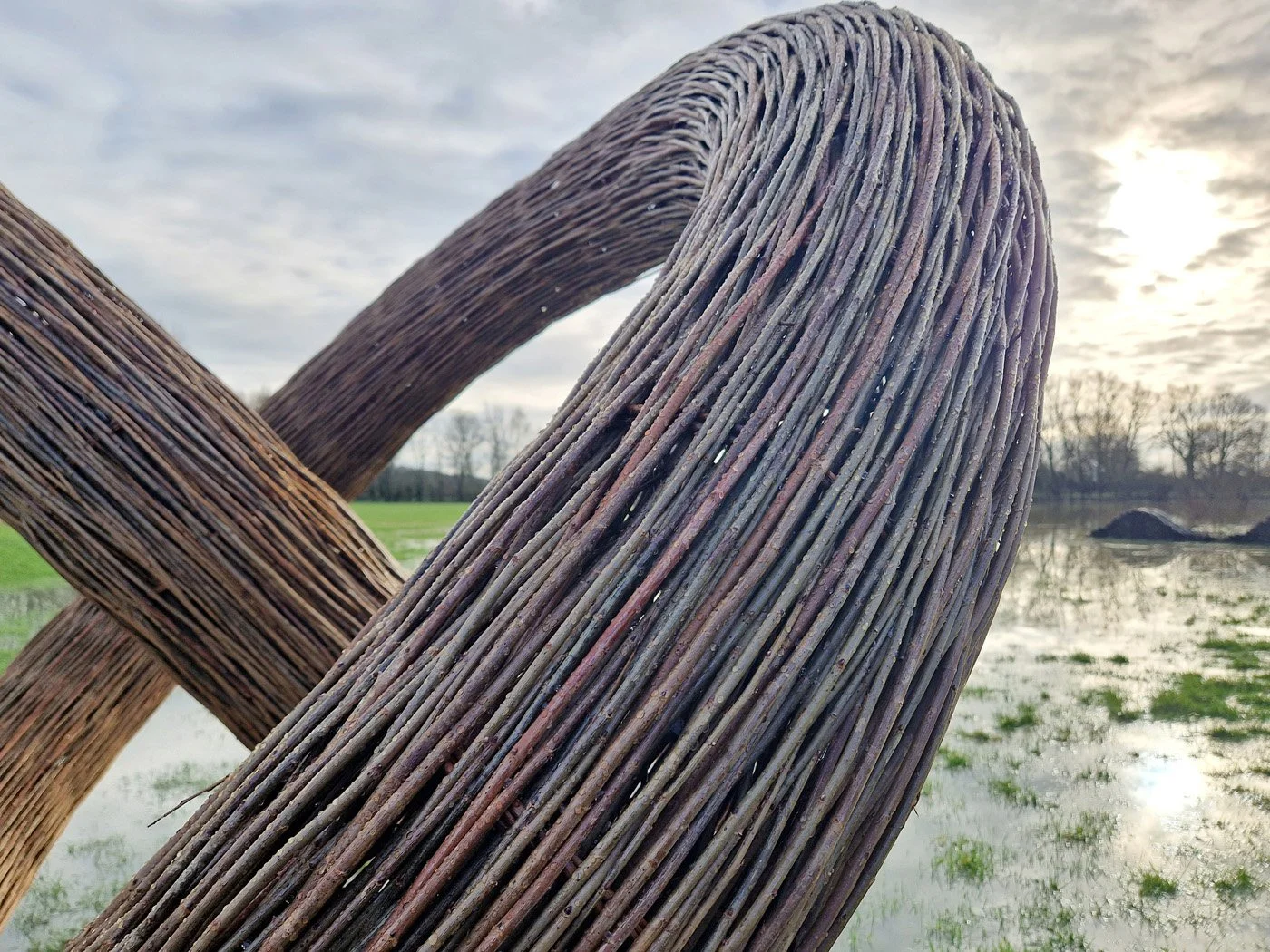 Connected by Willow Coppice 23.jpg