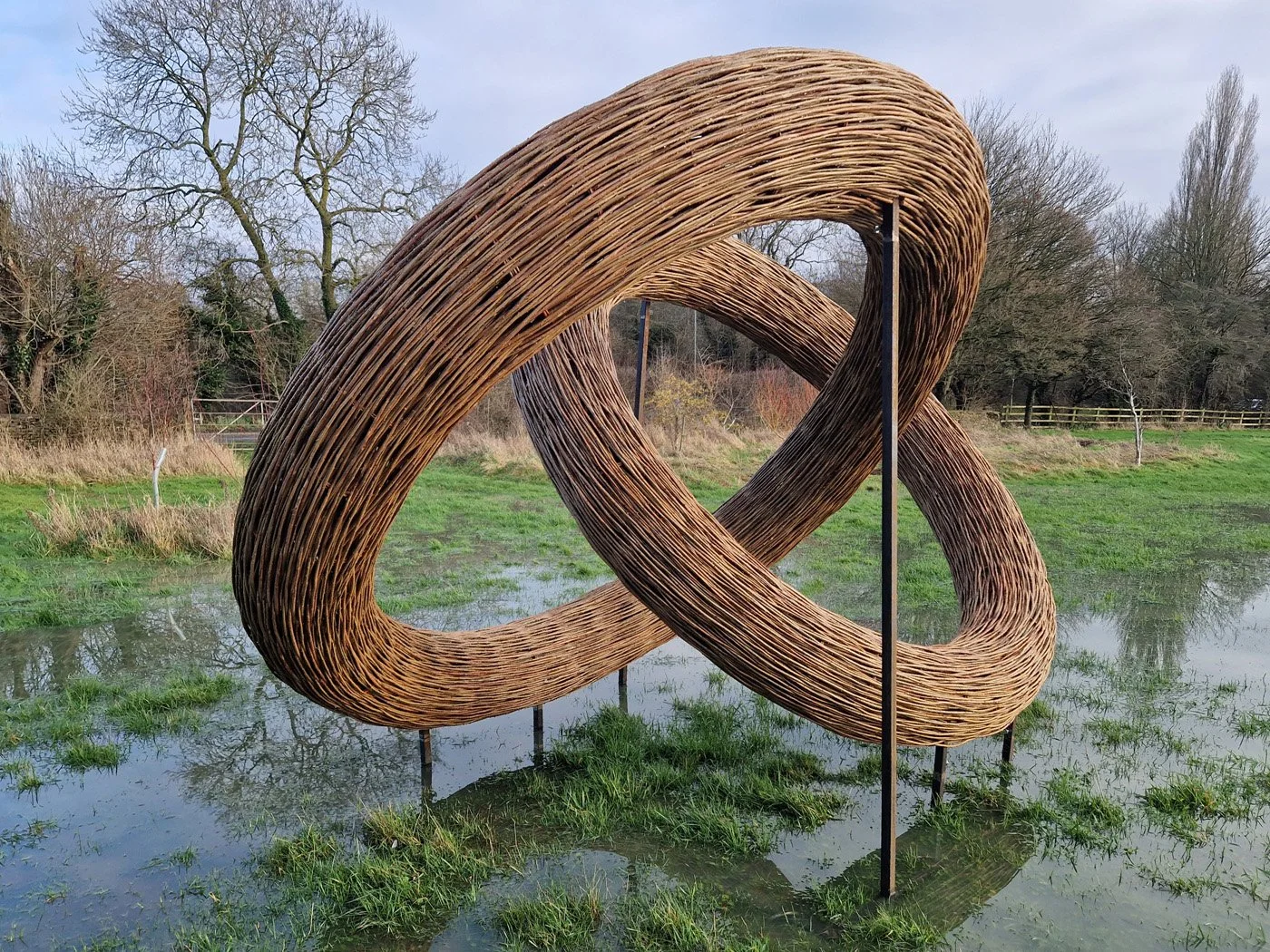 Connected by Willow Coppice 24.jpg