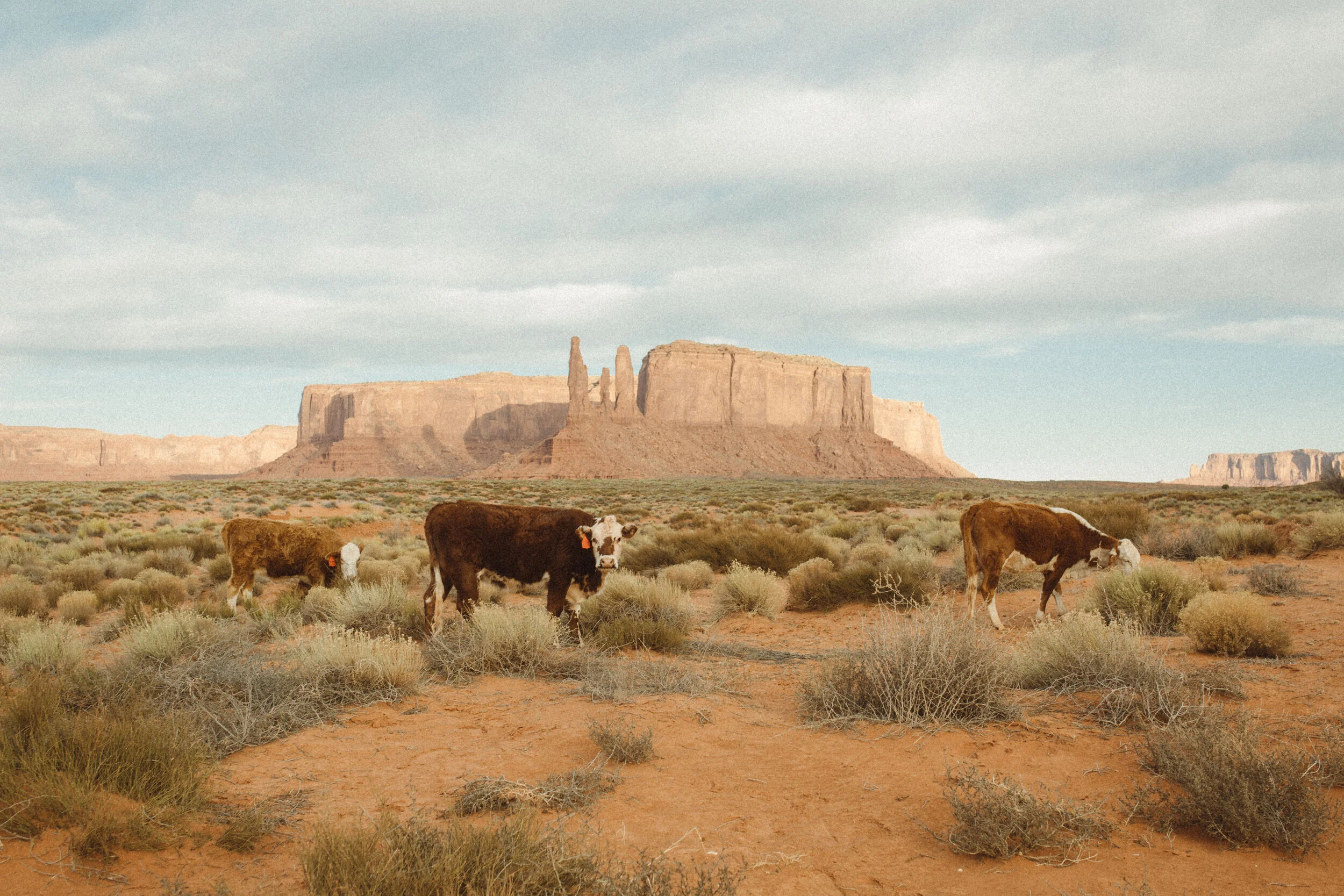 monument valley-119.JPG